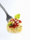 Espaguetis con salsa de tomate - foto de stock