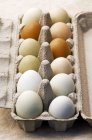 Huevos coloridos frescos en caja de huevo - foto de stock
