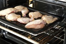 Morceaux de poulet cru sur rôtissoire — Photo de stock