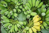 Plátanos verdes y amarillos - foto de stock