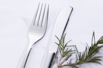 Knife and fork with rosemary sprig — Stock Photo