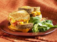 Сэндвич с сыром — стоковое фото