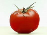 Tomate mûre rouge — Photo de stock