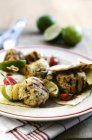 Grilled turkey kebabs — Stock Photo