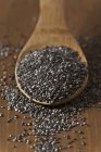 Chia seeds on rustic wooden spoon — Stock Photo
