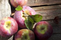 Manzanas frescas de huerto picado - foto de stock