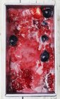 Домашний ягодный сорбет — стоковое фото
