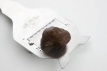 Summer truffle on truffle slicer — Stock Photo