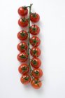 Tomates cereja em videira — Fotografia de Stock