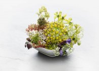 Una ciotola di fiori di erbe selvatiche su superficie bianca — Foto stock