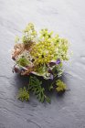 Vue surélevée des fleurs d'herbes sauvages sur la surface de la pierre — Photo de stock