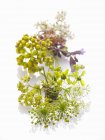 Vue rapprochée des fleurs d'herbes sauvages sur la surface blanche — Photo de stock