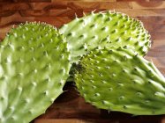 Closeup view of green thorny cactus pads — Stock Photo
