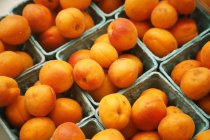 Свежие органические абрикосы — стоковое фото