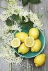 Lemons on plate and elder flowers — Stock Photo