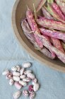 Fresh Cranberry Beans with pods — Stock Photo