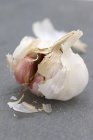 Opened garlic bulb — Stock Photo