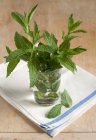 Fresh Mint in Glass of Water — Stock Photo