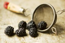 Blackberries Spilling from Colander — Stock Photo