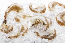 Сырые креветки на льду — стоковое фото