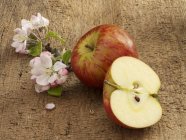 Whole and half apples with blossoms — Stock Photo