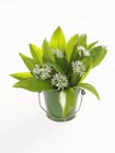 Closeup view of a bunch of ramsons in a bucket — Stock Photo