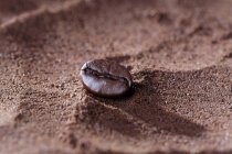 Крупним планом вид однієї кавової квасолі на коричневому порошку — стокове фото