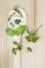 Oregano and parsley on spoon — Stock Photo