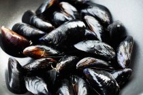 Fresh raw Mussels — Stock Photo