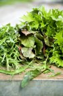 Verschiedene Arten von Salat — Stockfoto