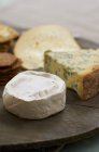 Verschiedene Käsesorten auf Brotbrettern — Stockfoto