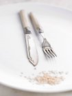 Vue rapprochée du couteau et de la fourchette de cuisine ornés sur plaque blanche — Photo de stock