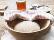 Closeup view of Khorasan wheat dough in a wooden bowl covered with a tea towel — Stock Photo