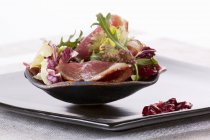 Closeup view of mixed leaf salad with smoked goose breast and dried cranberries — Stock Photo