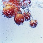 Pomodori che cadono in acqua — Foto stock