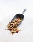 Muesli with dried cranberries — Stock Photo