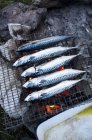 Raw Mackerels on barbecue rack — Stock Photo