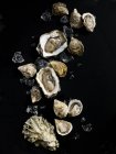 Huîtres crues aux glaçons — Photo de stock
