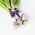 Organische lila Schalotten über weißer Oberfläche — Stockfoto