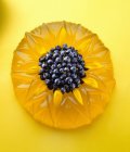 Lemon jelly with blueberries — Stock Photo