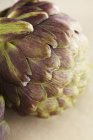 Alcachofa orgánica fresca - foto de stock