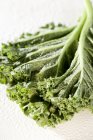 Kale orgánica recién lavada - foto de stock