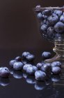 Blueberries with glass bowl — Stock Photo