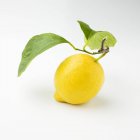 Lemon with stem and leaves — Stock Photo