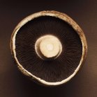 Vue rapprochée du dessus du dessous d'un champignon Portobello — Photo de stock