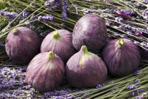 Red figs with lavender — Stock Photo