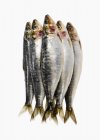 Montón de sardinas frescas - foto de stock