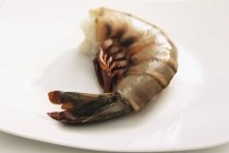 Closeup view of one scampi tail on white plate — Stock Photo
