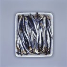 Sardine fresche in piatto — Foto stock