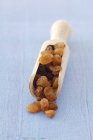 Raisins on wooden scoop — Stock Photo